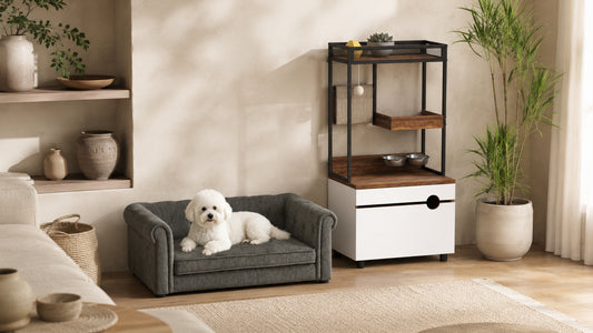 Pet-Friendly Furniture That Still Looks Good: The Japandi Pet Nook